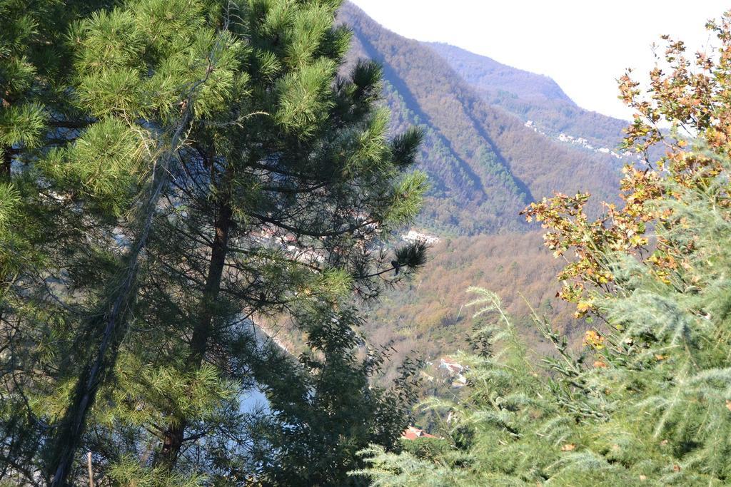 Toscana Nord Ovest - Tra La Costa Apartments Albiano Magra 외부 사진