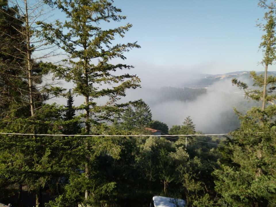 Toscana Nord Ovest - Tra La Costa Apartments Albiano Magra 외부 사진